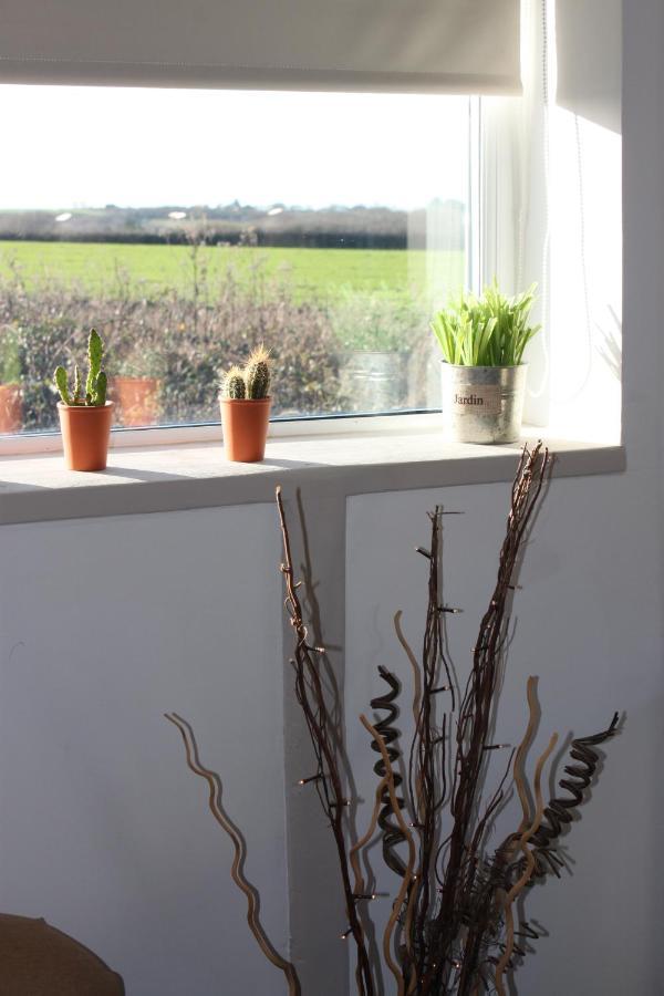 Beautiful Barn Conversion, 3 Bed, Hot Tub, Sauna, Gym, Enclosed Garden Ryde  Exteriör bild