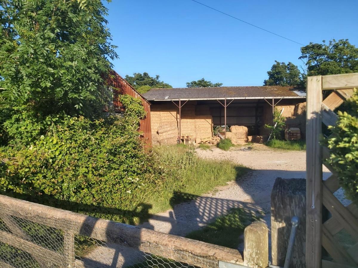 Beautiful Barn Conversion, 3 Bed, Hot Tub, Sauna, Gym, Enclosed Garden Ryde  Exteriör bild